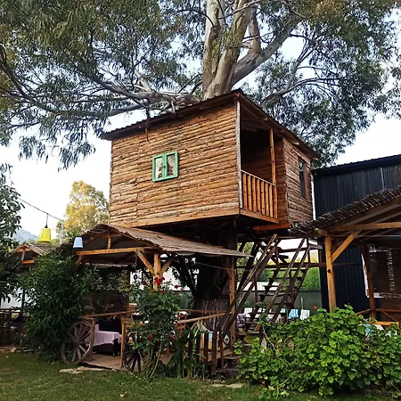 Daidala Life-2